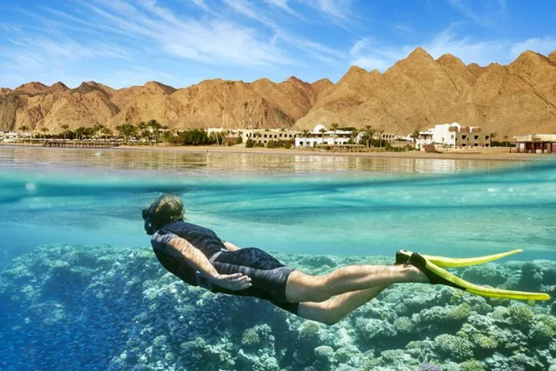 Snorkeling privato a Ras Mohammed